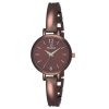 Brown Dial & Brown Chain Analog Watch For Women